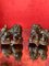 Ming Dynasty Style Foo Lions in Smoky Quartz on Base, 1800s, Set of 2 11