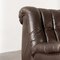 Ds 85 Lounge Chair by de Sede, Image 5
