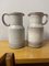 Stoneware Carafes by Alessio Tasca, 1970s, Set of 2 1