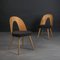 Vintage Dining Chairs by A. Šuman, 1960s, Set of 4 18