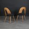 Chaises de Salle à Manger Vintage par A. Šuman, 1960s, Set de 4 4