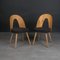 Vintage Dining Chairs by A. Šuman, 1960s, Set of 4 5
