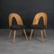 Vintage Dining Chairs by A. Šuman, 1960s, Set of 4, Image 5