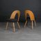 Vintage Dining Chairs by A. Šuman, 1960s, Set of 4, Image 16