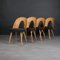 Vintage Dining Chairs by A. Šuman, 1960s, Set of 4 2
