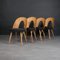 Vintage Dining Chairs by A. Šuman, 1960s, Set of 4, Image 2