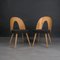 Vintage Dining Chairs by A. Šuman, 1960s, Set of 4 8