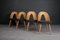 Vintage Dining Chairs by A. Šuman, 1960s, Set of 4 3