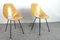 Medea Chairs by Vittorio Nobili, 1955, Set of 2 1