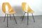 Medea Chairs by Vittorio Nobili, 1955, Set of 2, Image 1