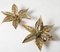 Willy Daro Style Brass Flowers Wall Lights, 1970, Set of 3 4