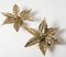 Willy Daro Style Brass Flowers Wall Lights, 1970, Set of 3, Image 4