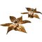 Willy Daro Style Brass Flowers Wall Lights, 1970, Set of 3 6