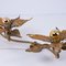 Willy Daro Style Brass Flowers Wall Lights, 1970, Set of 3 9