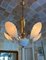 Shell Murano Glass Chandelier, 1980 2