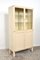 Vintage Medical Cabinet in Iron and Glass, 1950s, Image 2