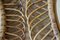 Espejos de pared vintage redondos de ratán y bambú de Franco Albini, años 60. Juego de 2, Imagen 12