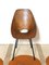 Vittorio Nobili zugeschriebener Curved Plywood Chair für Brothers Tagliabue, 1950er 4