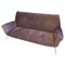 Modernes italienisches Mid-Century Wisteria Samtsofa von Gigi Radice, 1950er 1