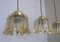 Brass & Frosted Amber Glass Pendant Lights from Doria Leuchten, 1960s, Set of 5 10