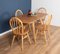 Model 383 Dining Table and Chairs by Lucian Ercolani for Ercol, Set of 5 7