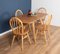 Model 383 Dining Table and Chairs by Lucian Ercolani for Ercol, Set of 5, Image 7