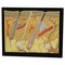 Sussidio didattico-Struttura della pelle umana Intonaco su legno, anni '20, Immagine 1