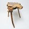 Brutalist Tree Root Side Table 3