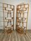 Room Dividers by Ludvik Volak for Drevopodnik Holesov, 1950s, Set of 2 20