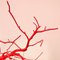 Scultura sospesa in Rami rosso fatta a mano di Le Meduse, Immagine 4