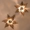 Willy Daro Style Brass Flowers Wall Lights from Massive Lighting, 1970, Set of 2 8