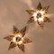 Willy Daro Style Brass Flowers Wall Lights from Massive Lighting, 1970, Set of 2, Image 8