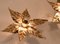 Willy Daro Style Brass Flowers Wall Lights from Massive Lighting, 1970, Set of 2 7