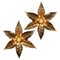 Willy Daro Style Brass Flowers Wall Lights from Massive Lighting, 1970, Set of 2 1