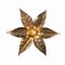 Willy Daro Style Brass Flowers Wall Lights from Massive Lighting, 1970, Set of 2, Image 11