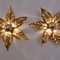 Willy Daro Style Brass Flowers Wall Lights from Massive Lighting, 1970, Set of 2, Image 4