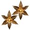 Willy Daro Style Brass Flowers Wall Lights from Massive Lighting, 1970, Set of 2 2