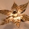 Willy Daro Style Brass Flowers Wall Lights from Massive Lighting, 1970, Set of 2 5
