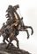 Sculture di cavalli marnosi in bronzo del Grand Tour, Francia, XIX secolo, Immagine 5