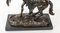 Sculture di cavalli marnosi in bronzo del Grand Tour, Francia, XIX secolo, Immagine 11