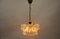 Mid-Century Modern Floral Crystal Glass Chandelier by Sölken, Germany, 1960s 2