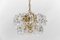 Mid-Century Modern Floral Crystal Glass Chandelier by Sölken, Germany, 1960s 5