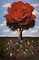 Rafal Olbinski, A Rose, 2020, Impresión Giclée, Imagen 1