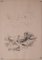 Signiert (Unidentified at Present), Bleistiftstudien der Natur, 1920er, Bleistift & Papier, 11 . Set 3