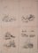 Firmato (attualmente non identificato), Pencil Studies of Nature, anni '20, Matita e carta, set di 11, Immagine 1