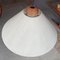 Danish height-Adjustable Teak Ceiling Lamp with Cable Train 4