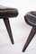 Art Deco Beech Stools, 1920s, Set of 2 7