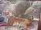 Fred Thomas Smith, A Recumbent Tiger Wildlife, 1898, Watercolor & Glass & Gold & Paper, Framed 7