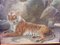 Fred Thomas Smith, A Recumbent Tiger Wildlife, 1898, Acquerello, vetro, oro e carta, con cornice, Immagine 2