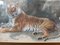 Fred Thomas Smith, A Recumbent Tiger Wildlife, 1898, Watercolor & Glass & Gold & Paper, Framed, Image 4